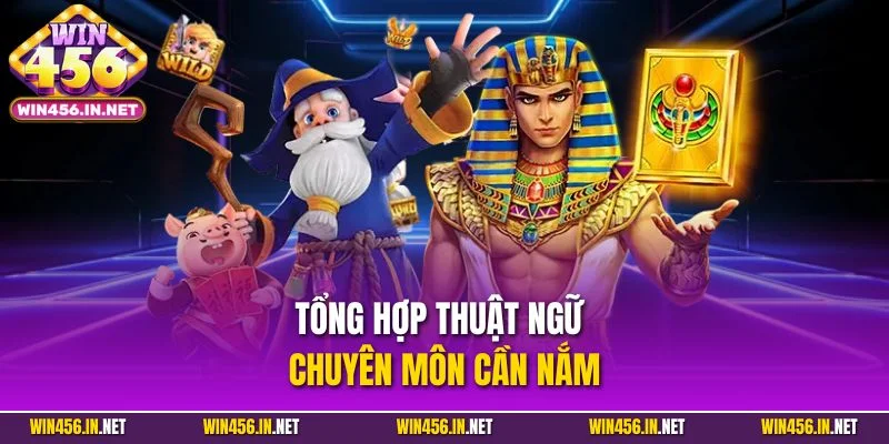 Tổng hợp thuật ngữ chuyên môn cần nắm